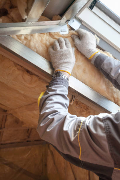 Best Insulation Contractors for Homes  in Walnut Grove, CA