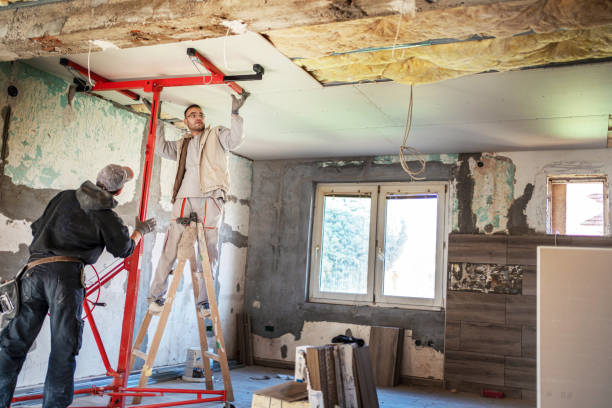 Best Local Insulation Services  in Walnut Grove, CA