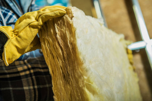 Best Garage Insulation Installation  in Walnut Grove, CA