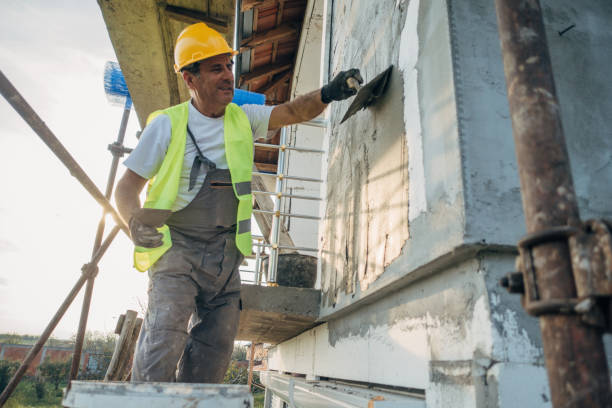 Best Best Insulation Companies  in Walnut Grove, CA